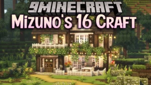 Mizuno’s 16 Craft Resource Pack