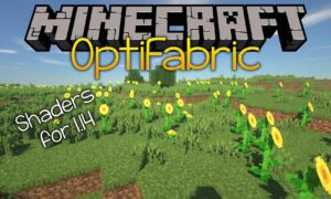 Optifabric Mod (1.20.1)