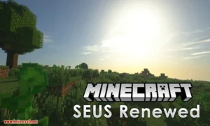 SEUS Renewed Shaders (26.3, 1.20.1)